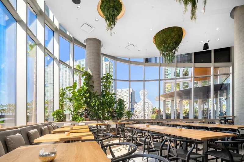 Animae, Restaurants in Little Italy