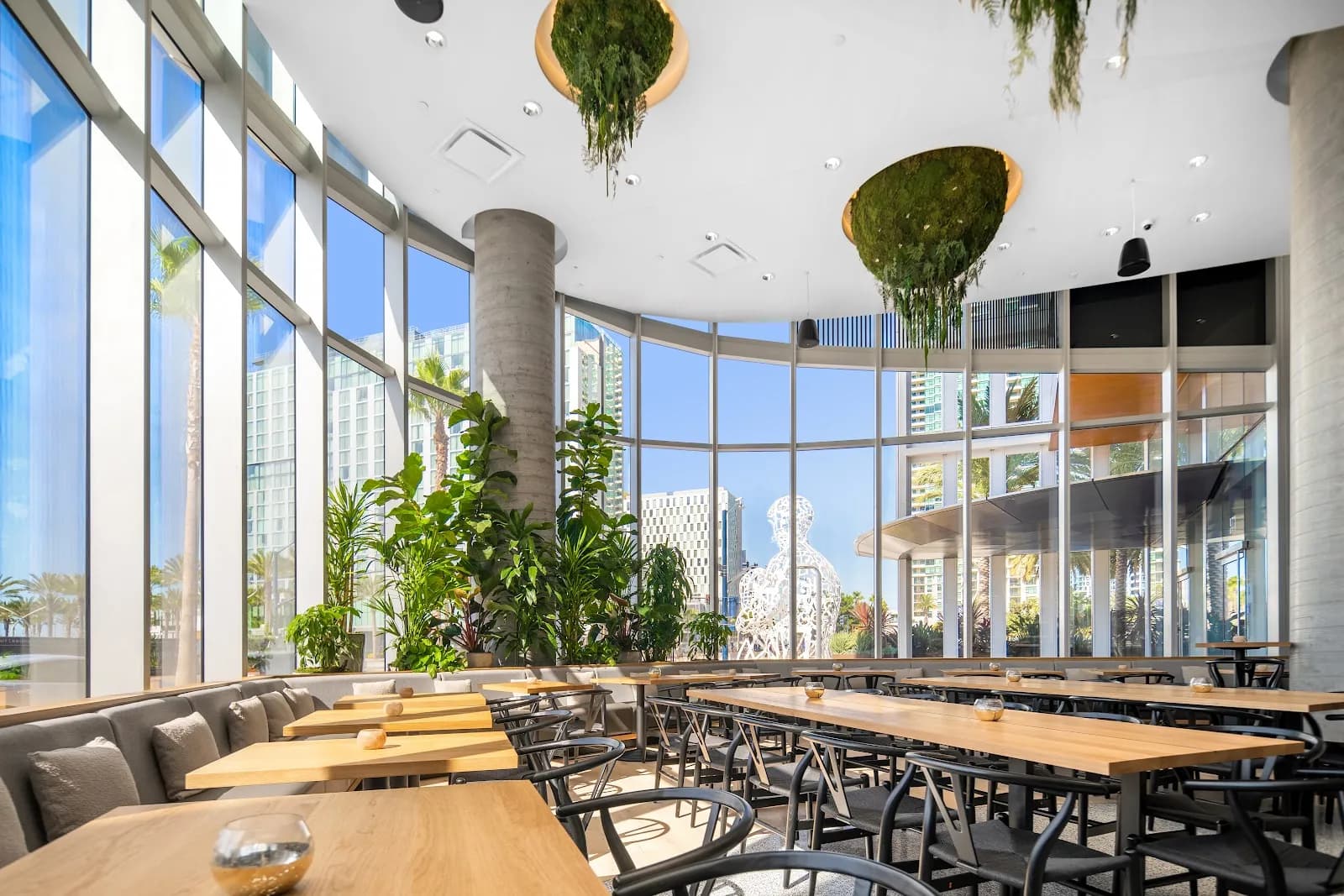 Animae, Restaurants in Little Italy