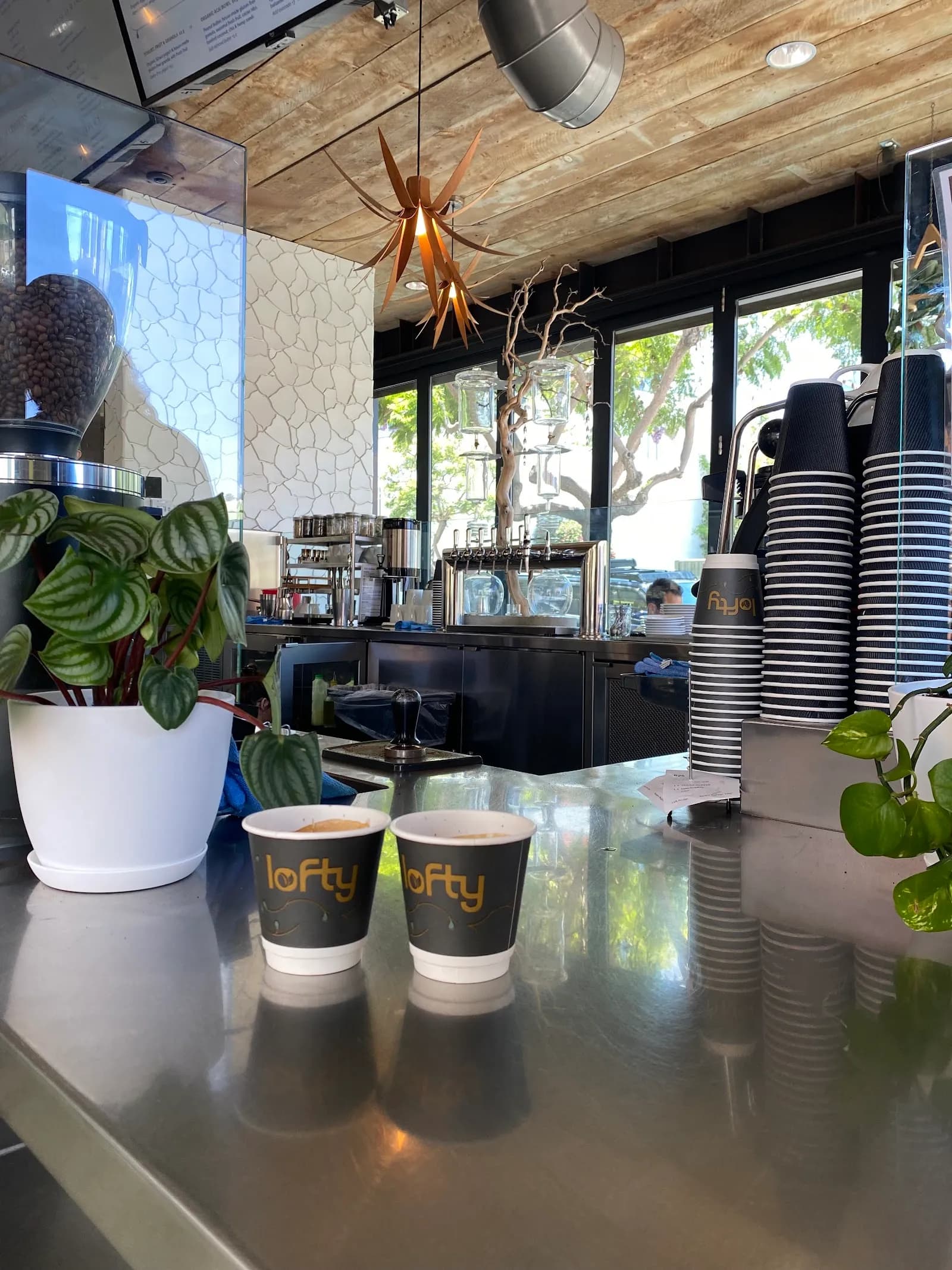 Lofty Coffee Co., Brunch Spots in Little Italy