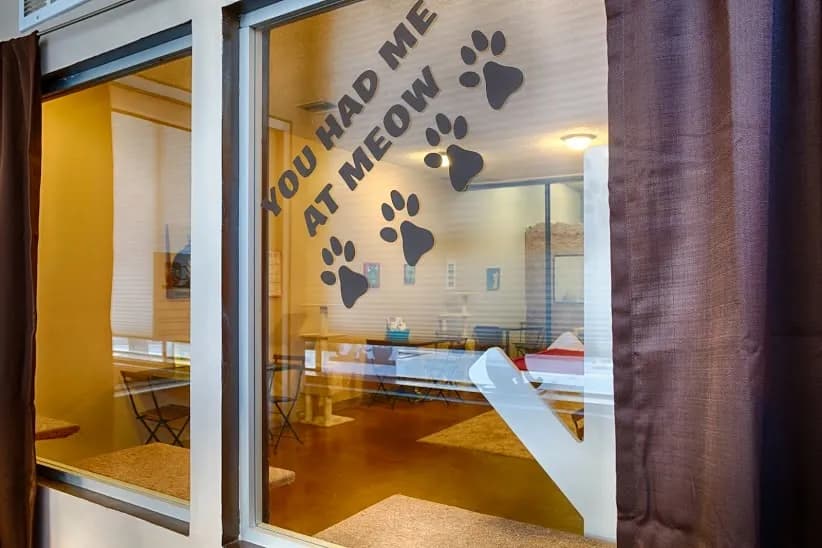 The Cat Cafe, Coffee Shops in Gaslamp Quarter