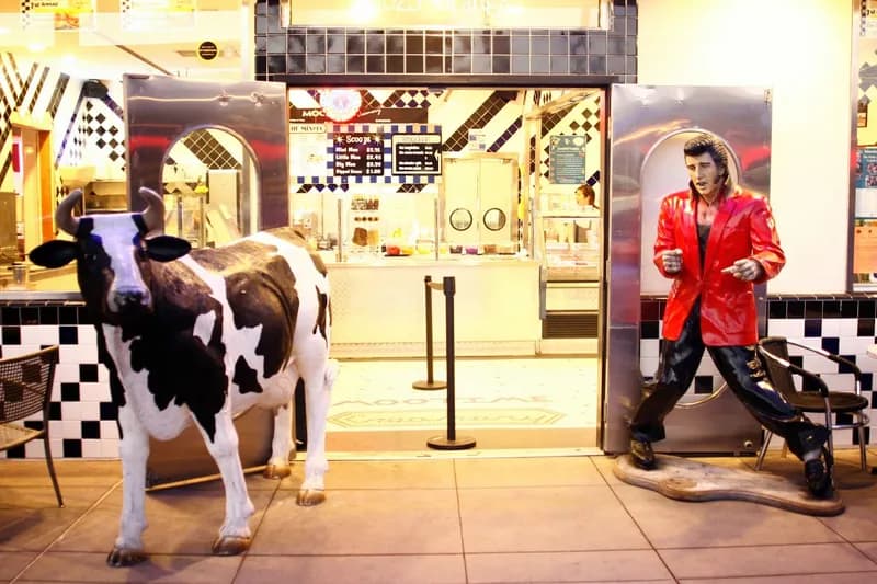 MooTime Creamery, Ice Cream & Dessert in Coronado