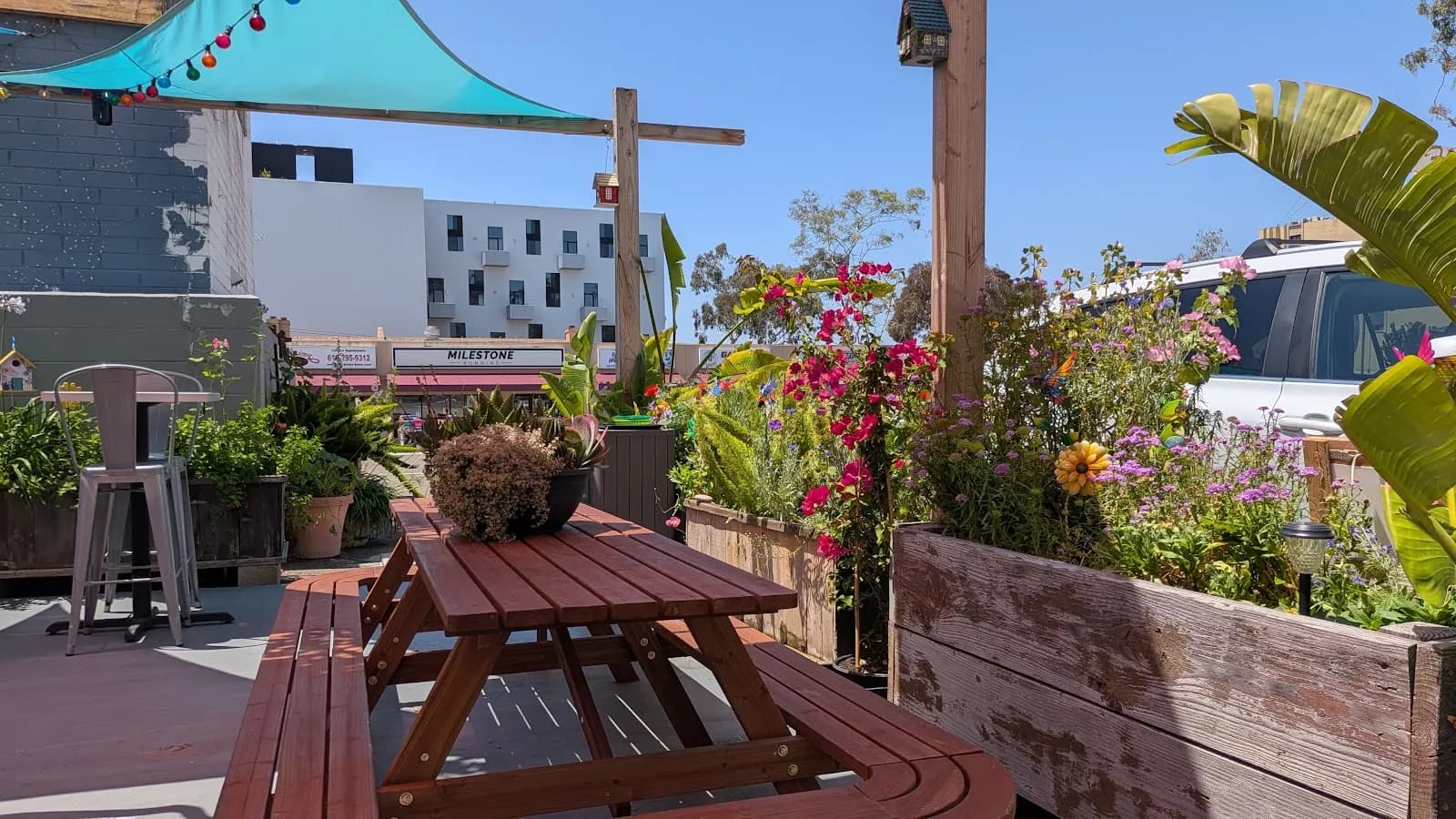 Val's Vegan Kitchen, Vegan in University Heights