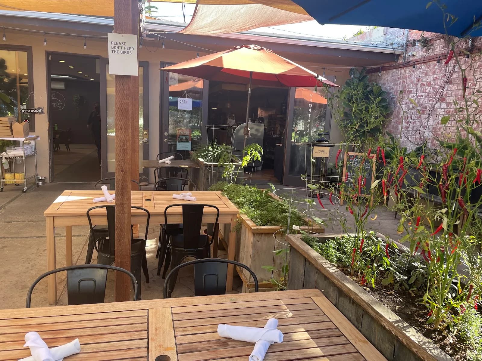 Donna Jean, Vegan in University Heights