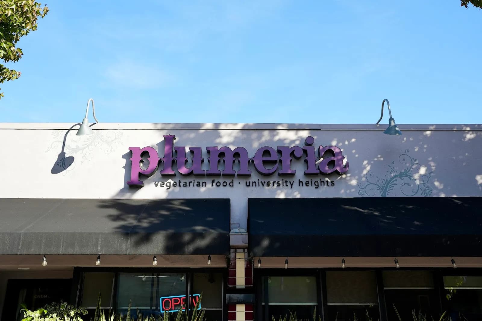 Plumeria Vegetarian Restaurant, Thai in University Heights