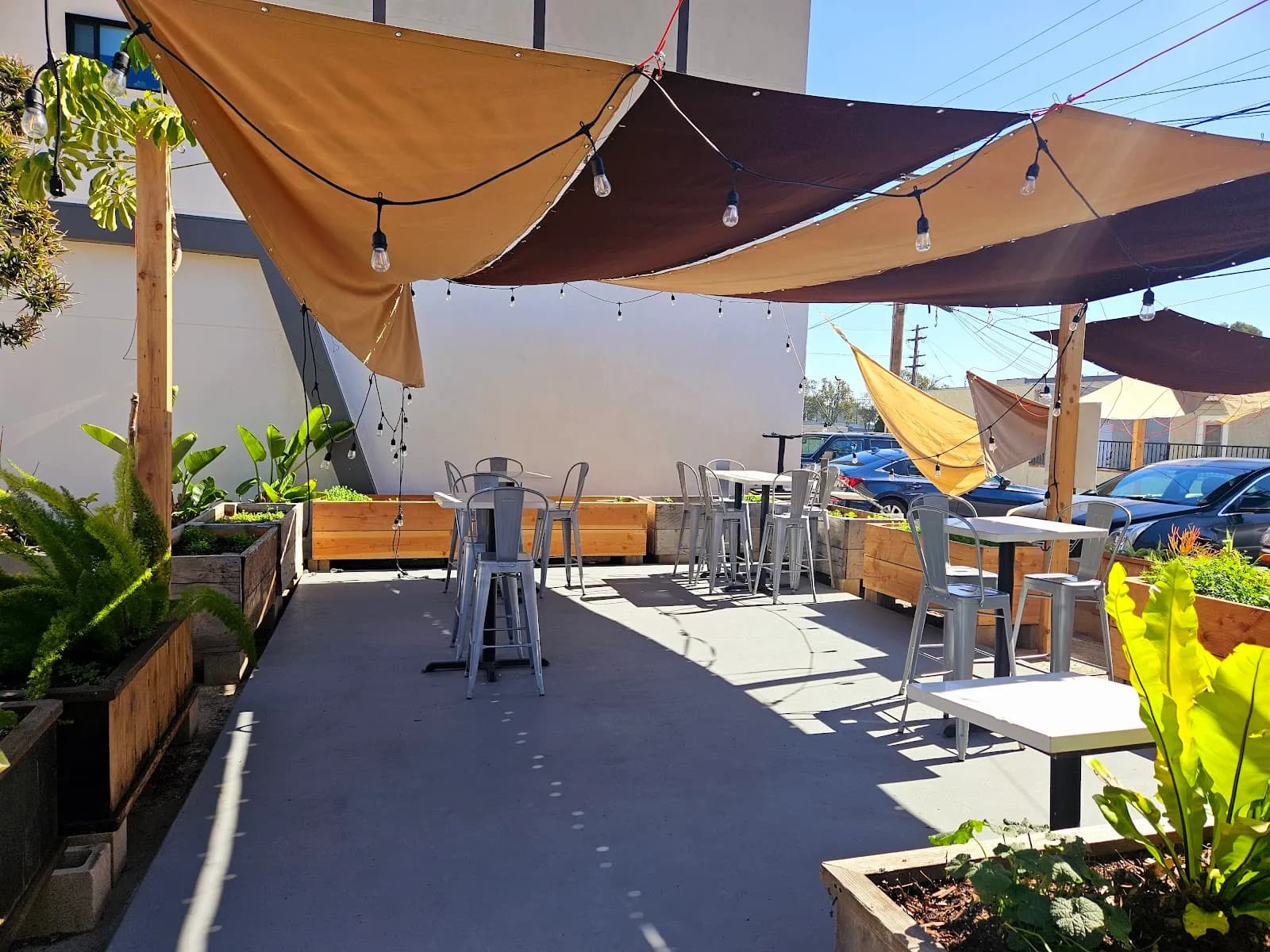 Evolution, Vegan in University Heights