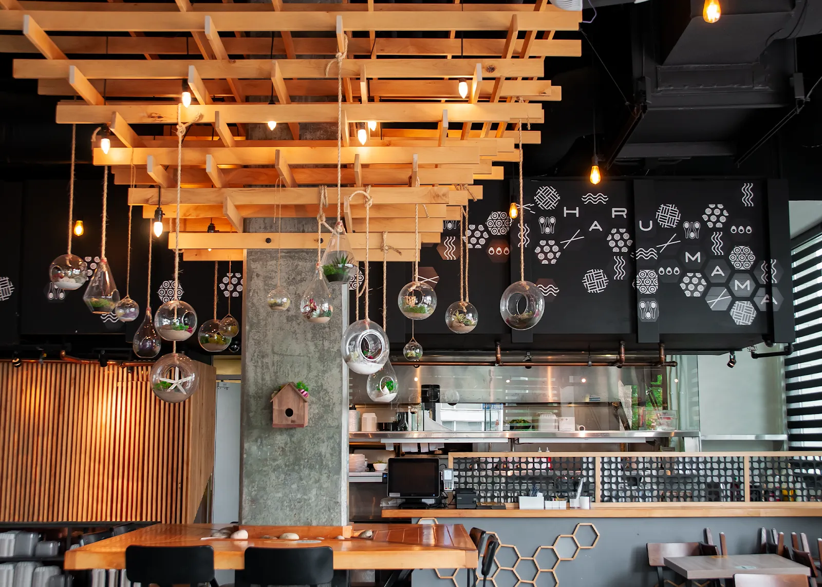 Harumama Ramen + Sushi (Little Italy), Sushi in Little Italy