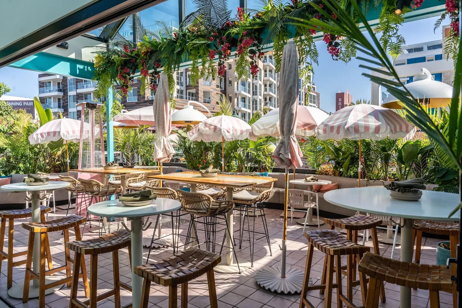 Coco Maya by Miss B's, Restaurants in Little Italy