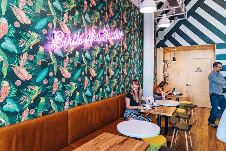 Parakeet Cafe - La Jolla, Brunch Spots in La Jolla