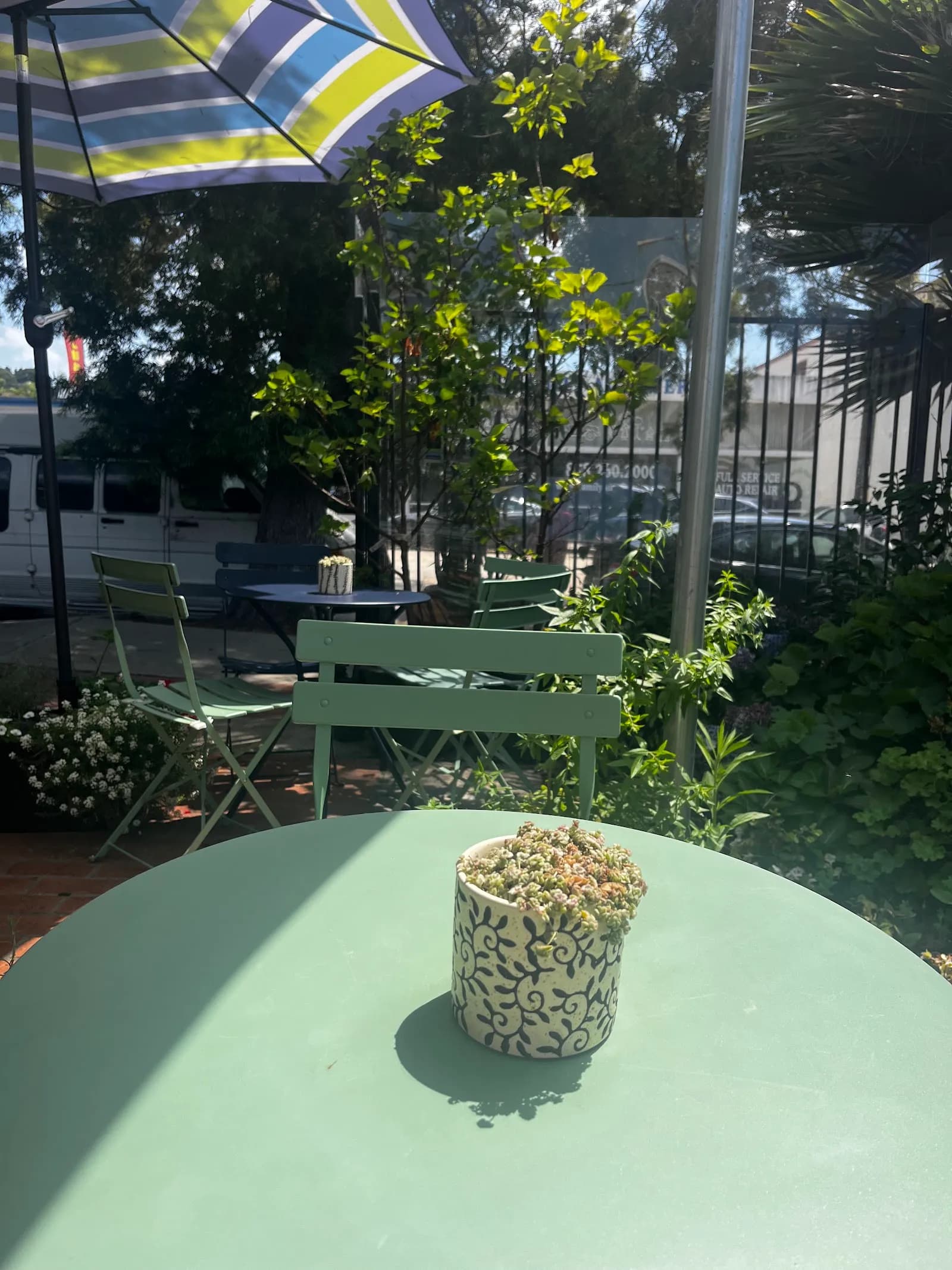 Cup of Bloom La Jolla in La Jolla