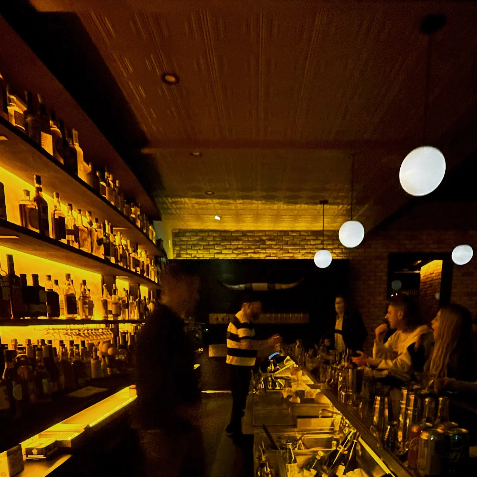Swan Bar in North Park