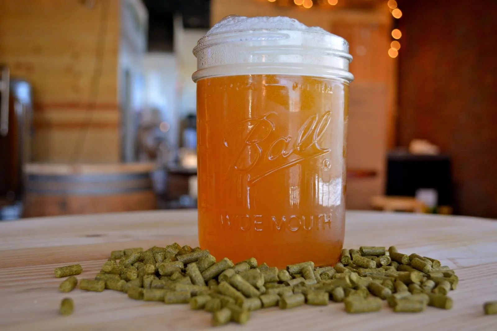 Poor House Brewing Company in North Park