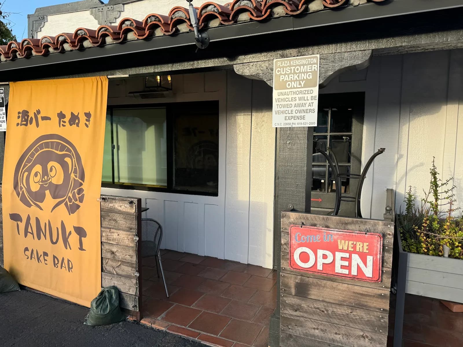 Tanuki in Kensington