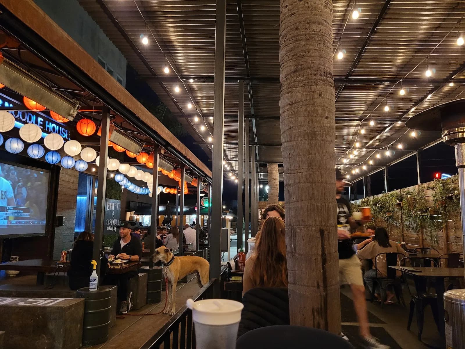 OB Noodle House Bar 1502 in Ocean Beach