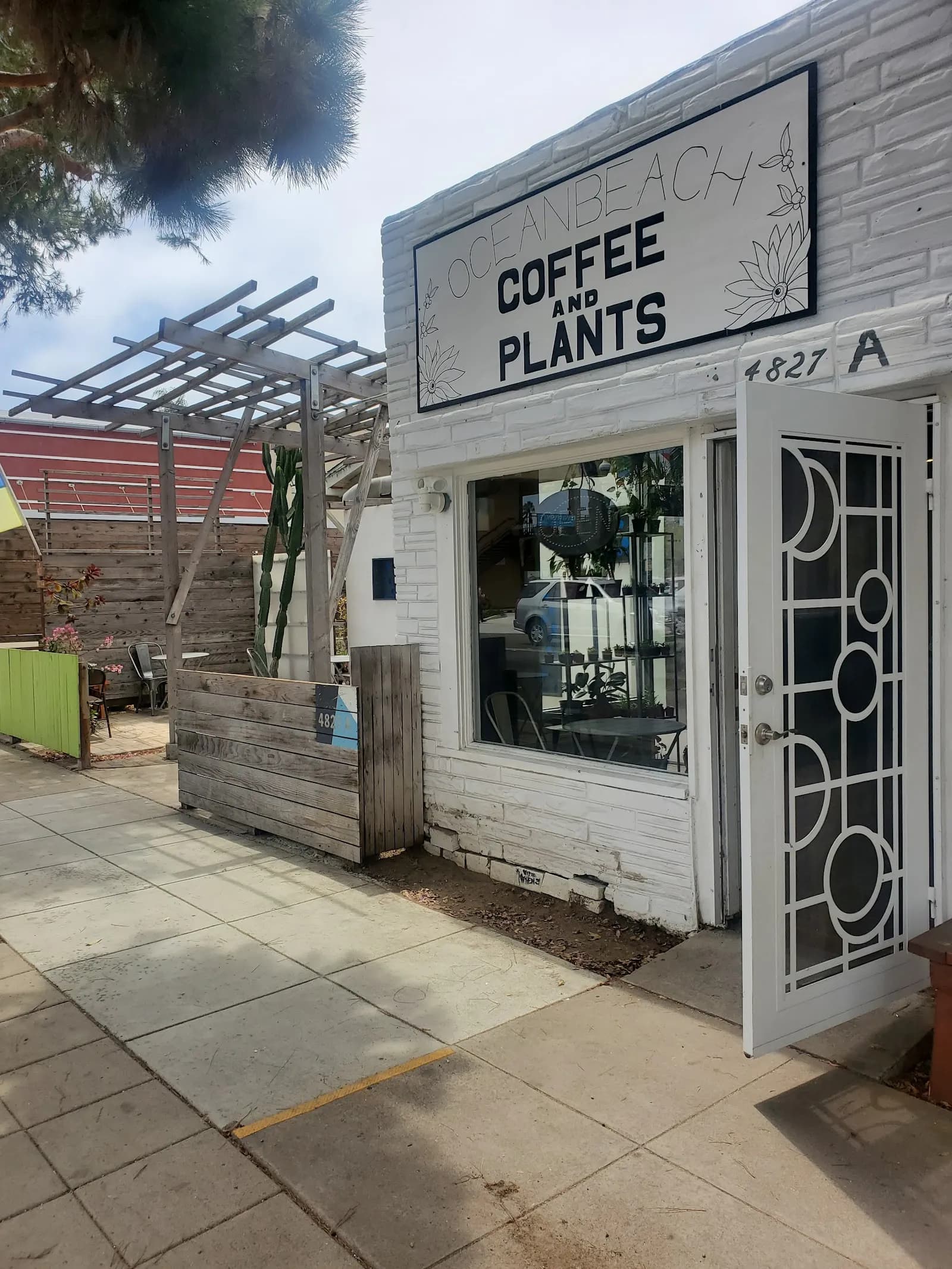 Ocean Beach Coffee and Plants in Ocean Beach