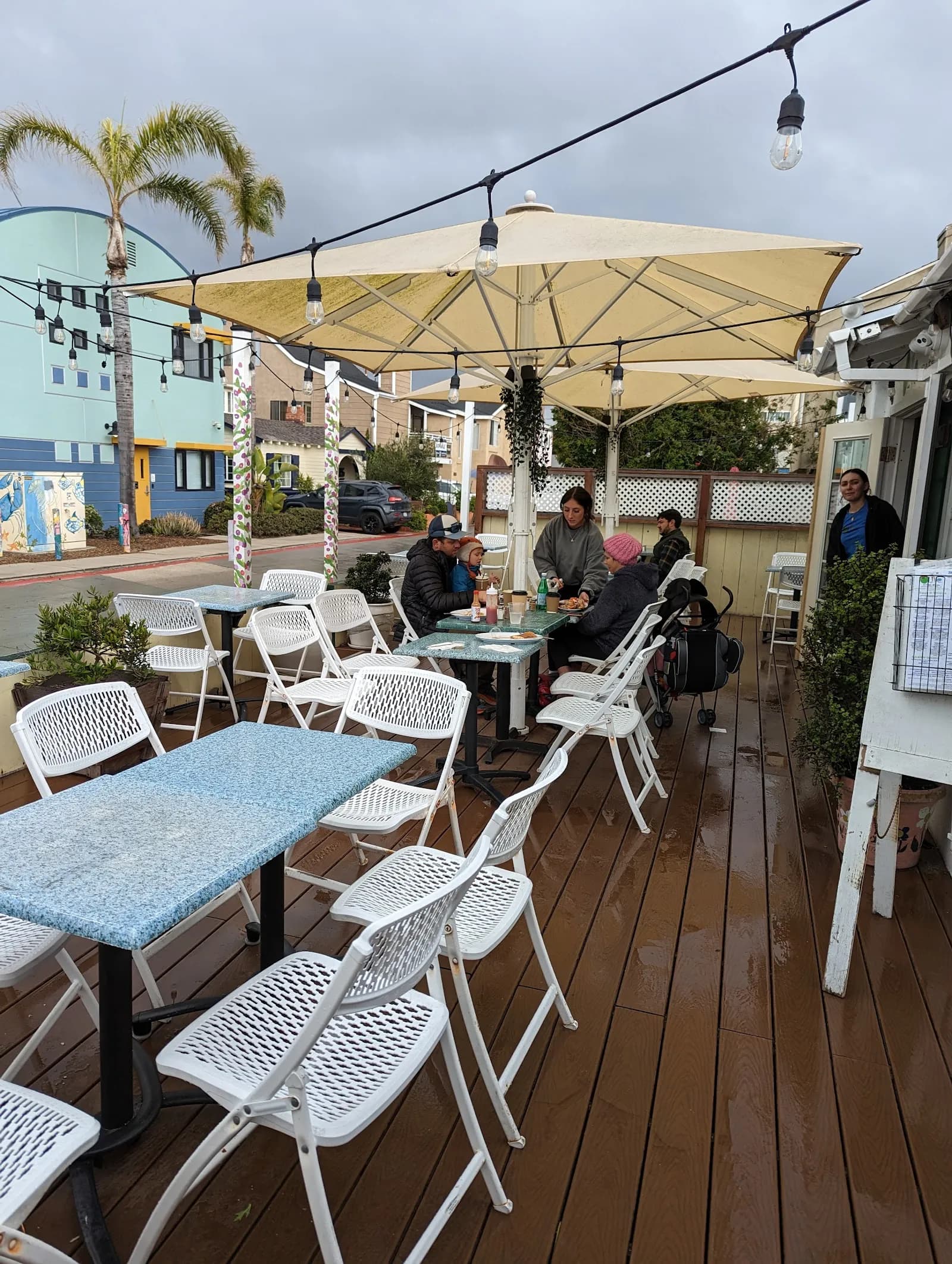 Olive Cafe in Mission Beach