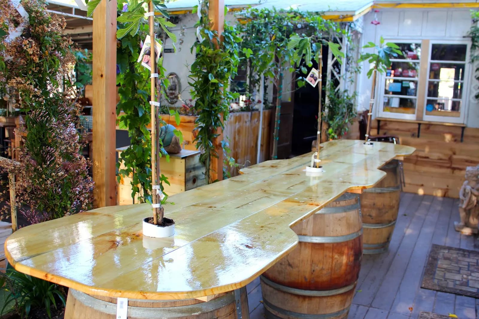 Fig Tree Cafe, Restaurants in Pacific Beach
