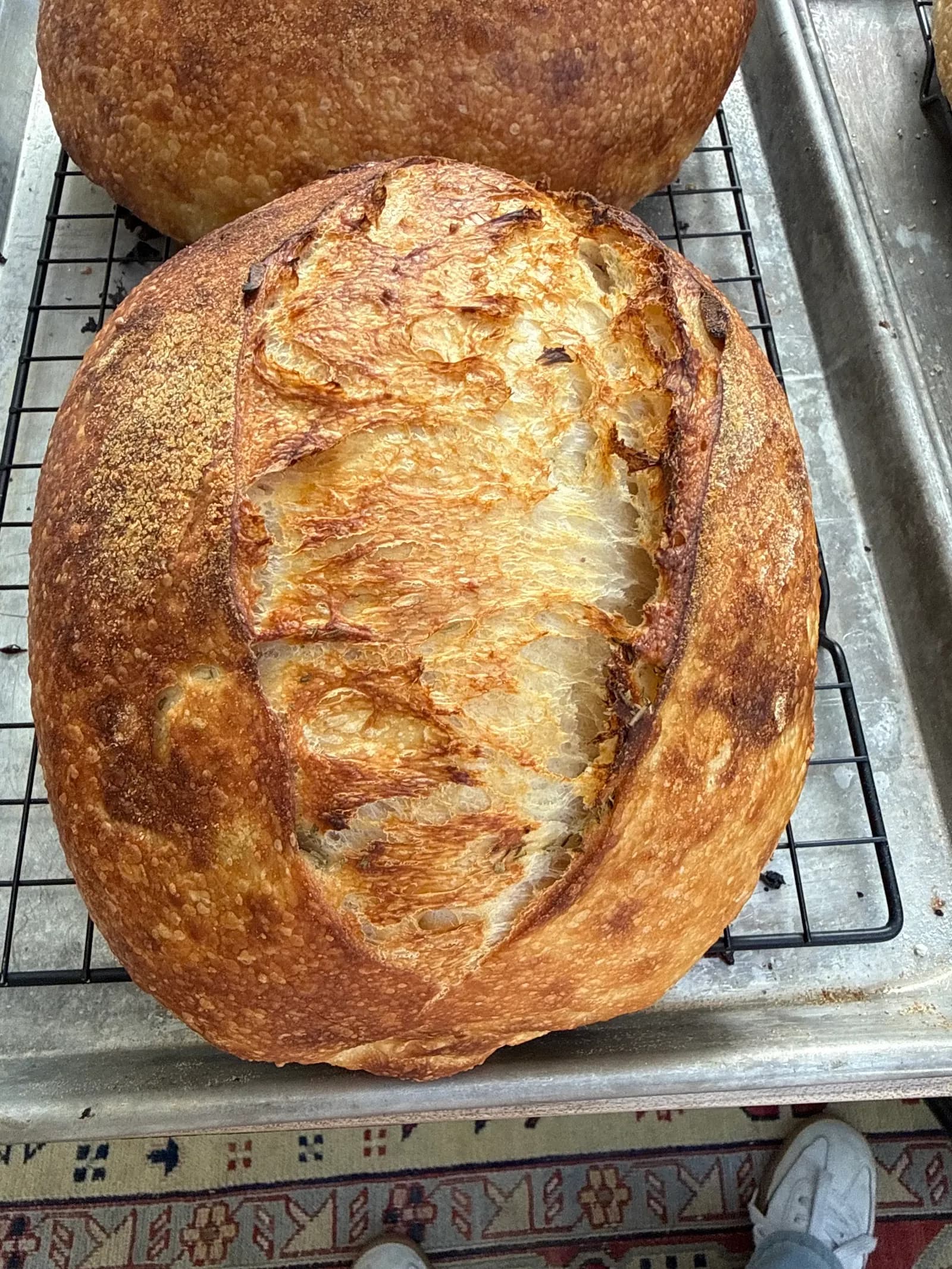 Bee's Bread Co in Coronado