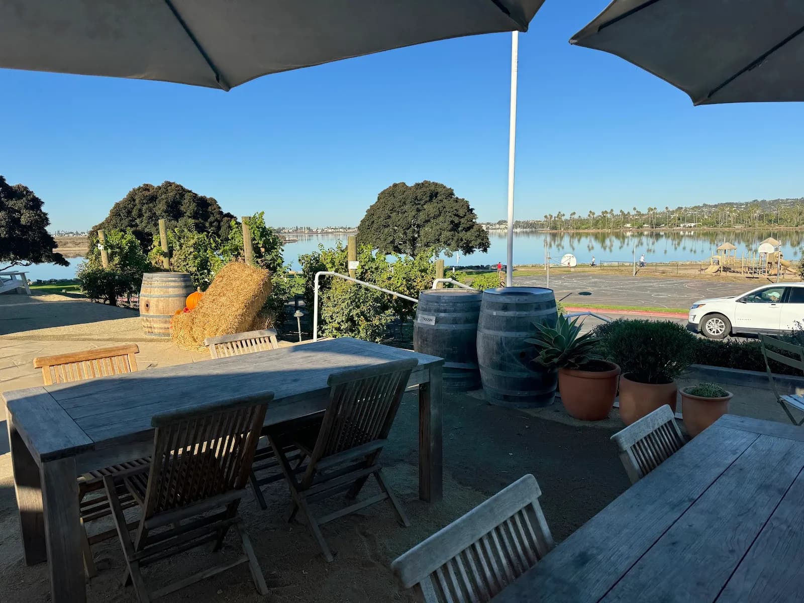 Superbloom Coffee & Juice in Bay Park