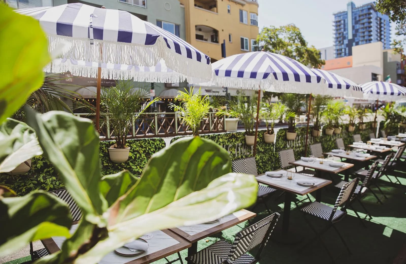 Crudo Ceviche & Oyster Bar, Restaurants in Little Italy