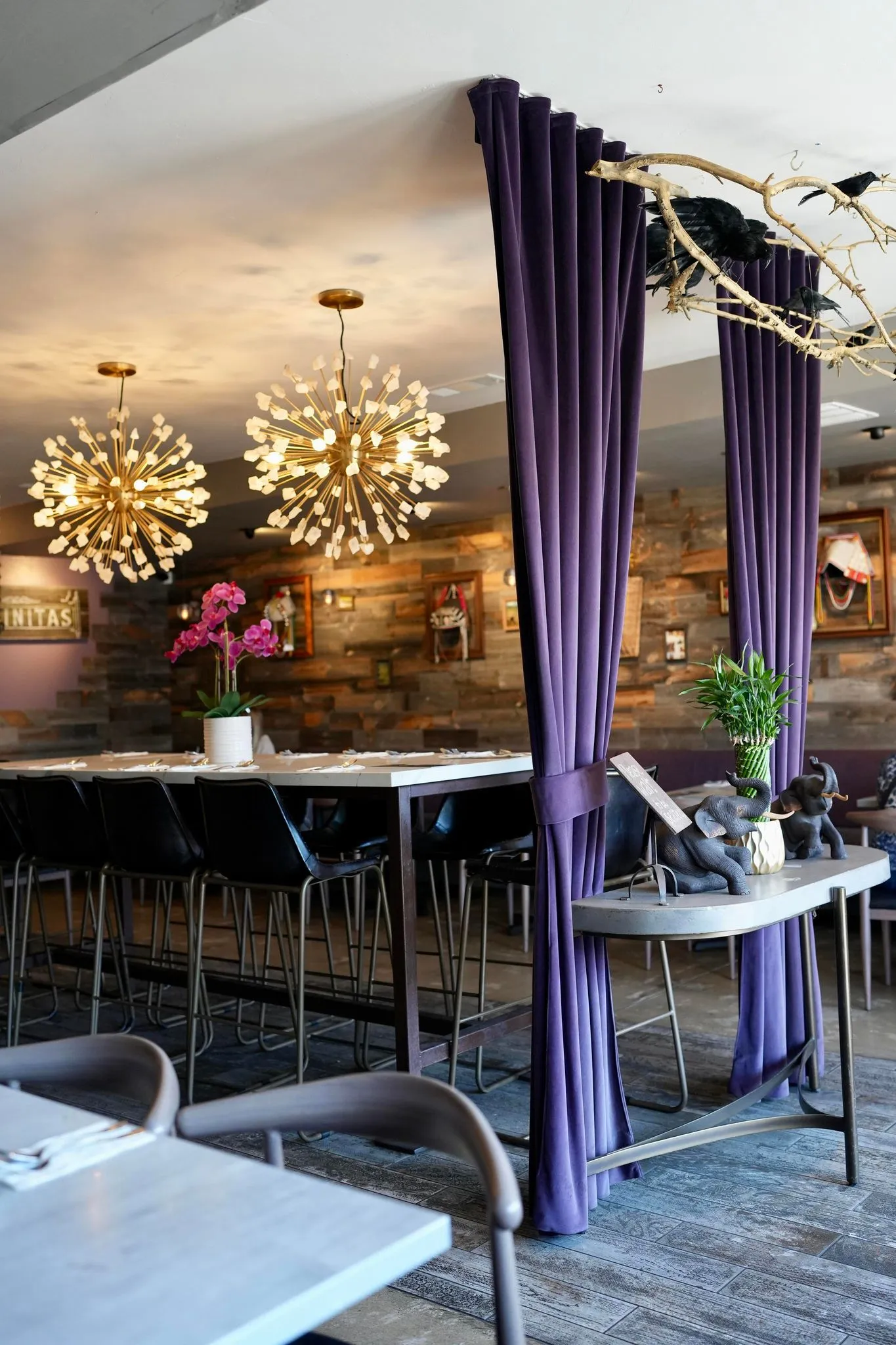 Plumeria Vegetarian Encinitas, Restaurants in Encinitas
